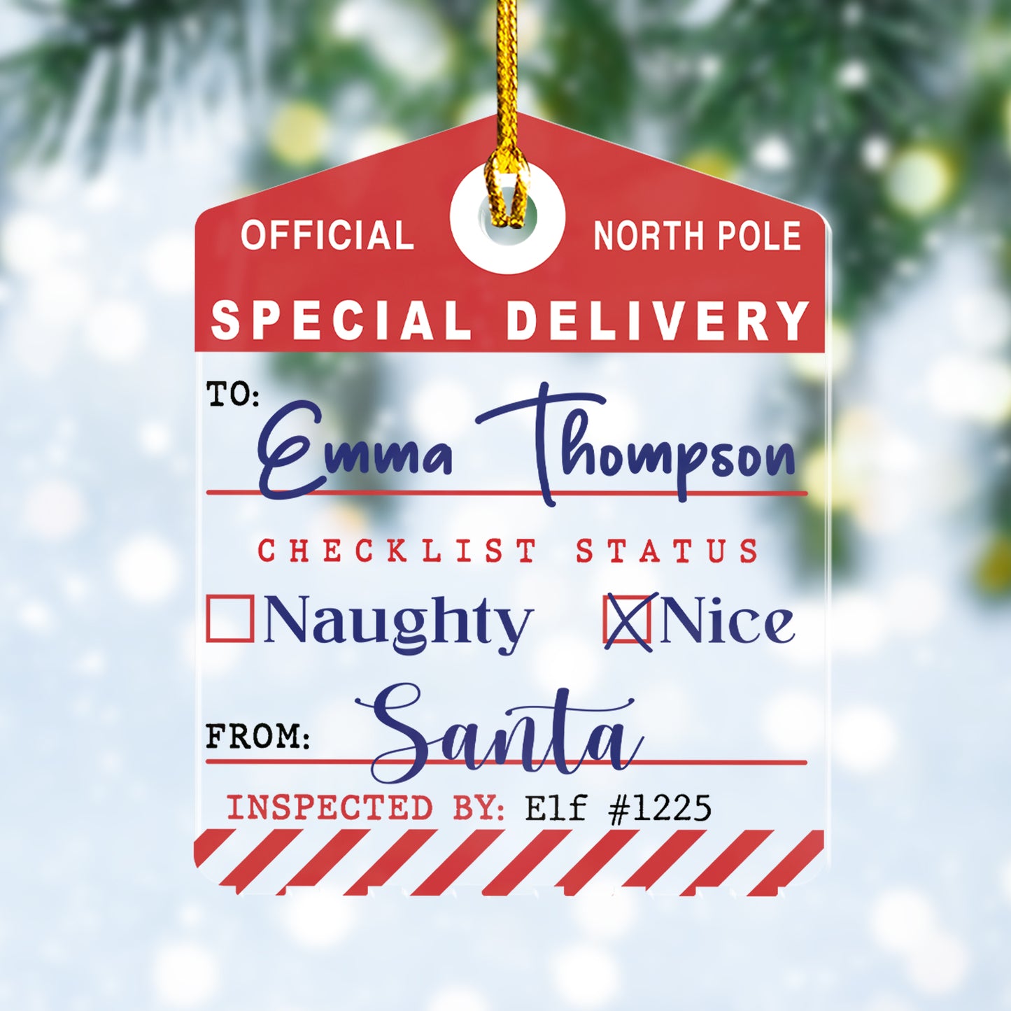 Custom Special Delivery Christmas Acrylic Ornament