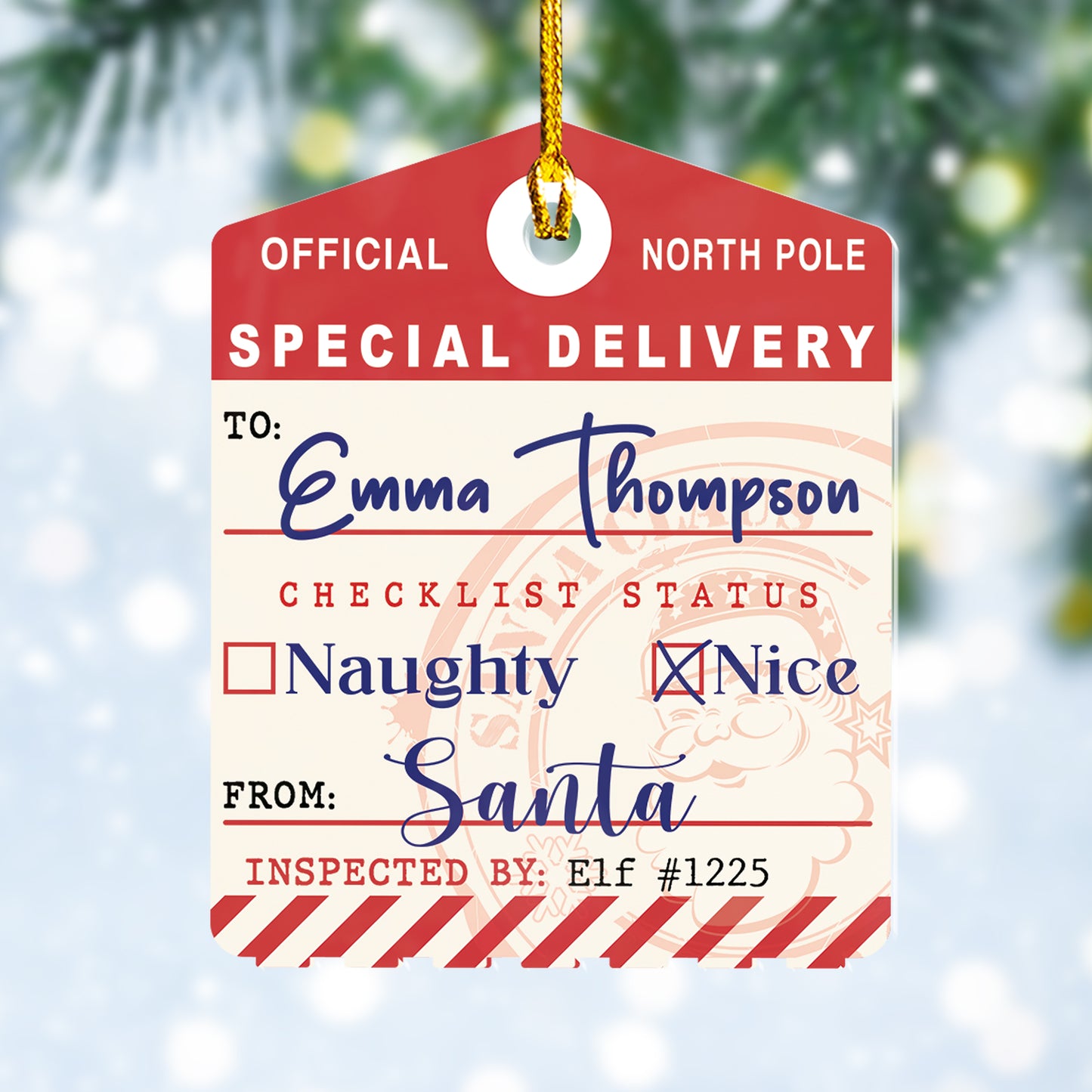 Custom Special Delivery Acrylic Ornament