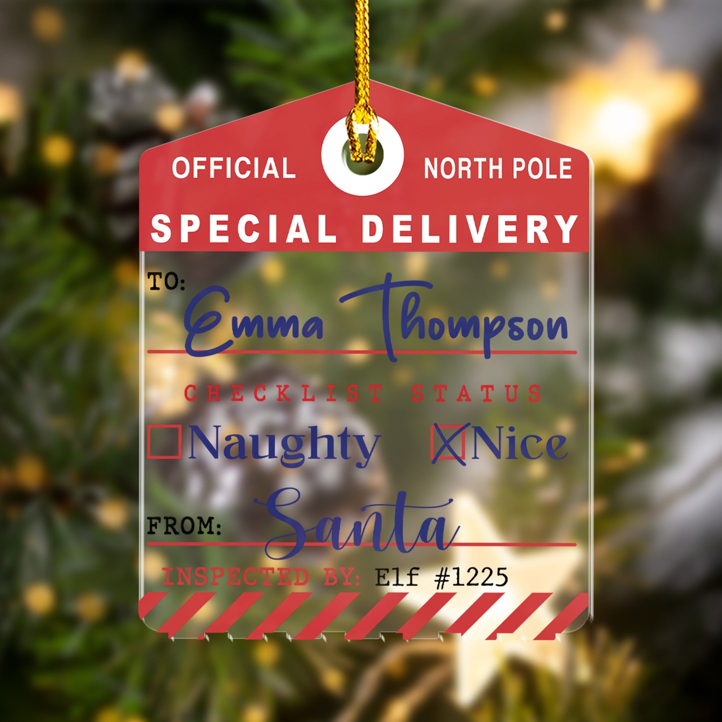 Custom Special Delivery Christmas Acrylic Ornament