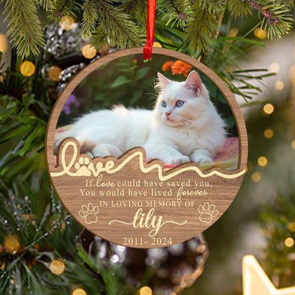 Custom Memorial Cat Wood and Acrylic Ornament